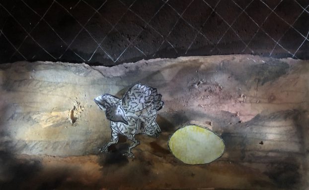 adieu la poule 6